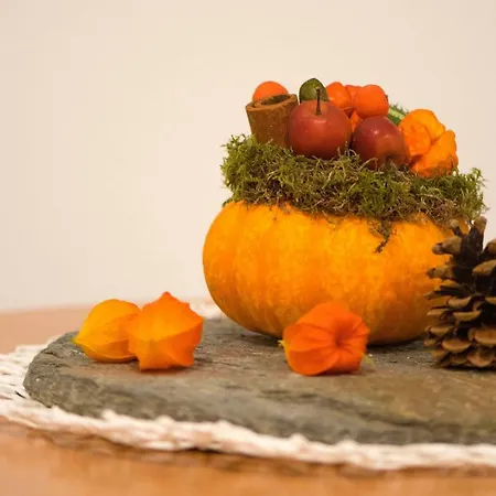 Apartment Anton's Souterrain-wohnung