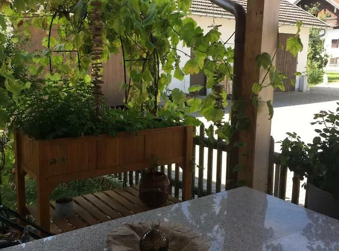 Anton‘s Souterrain-wohnung *